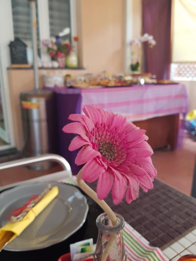 Ghiro Ghiotto Bed & Breakfast Pietra Ligure Dış mekan fotoğraf